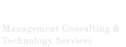 Bridgefiniti Solutions – Management Consulting & Technology Services